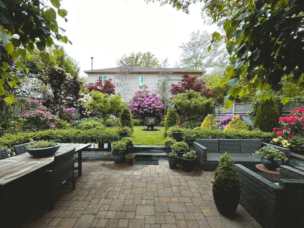 small backyard landscaping ideas with patio plants and modern design