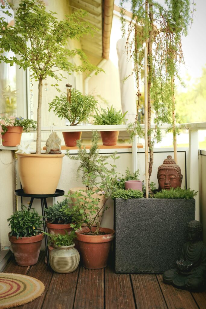 small balcony garden with multiple potted plants