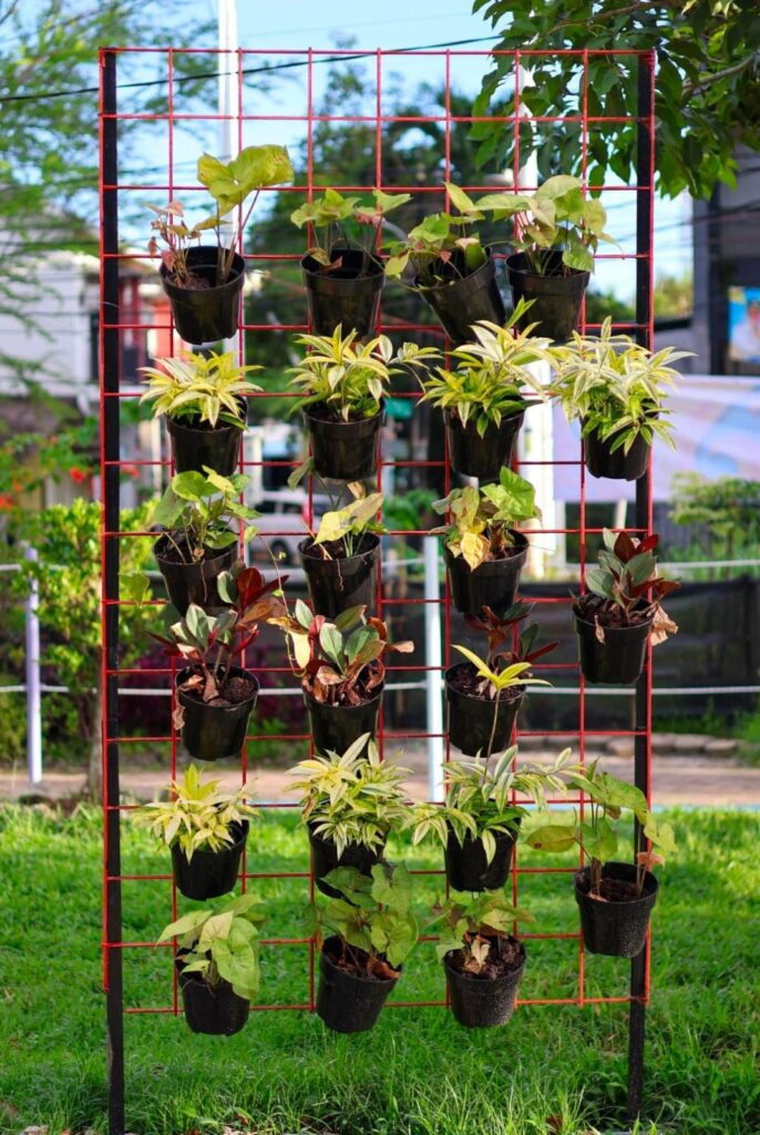 Vertical planter setup for small patio space